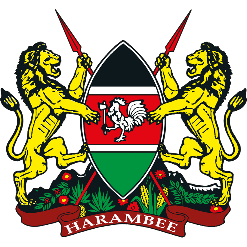 Partner Kenya