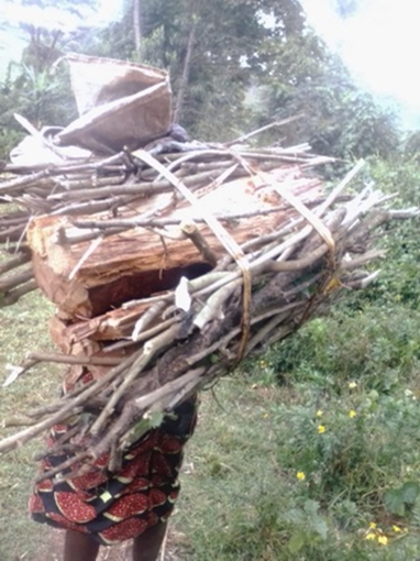 Firewood