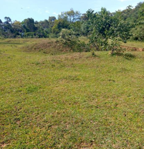 camping site