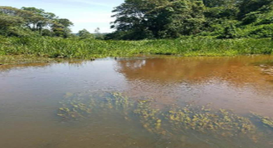 Birei River