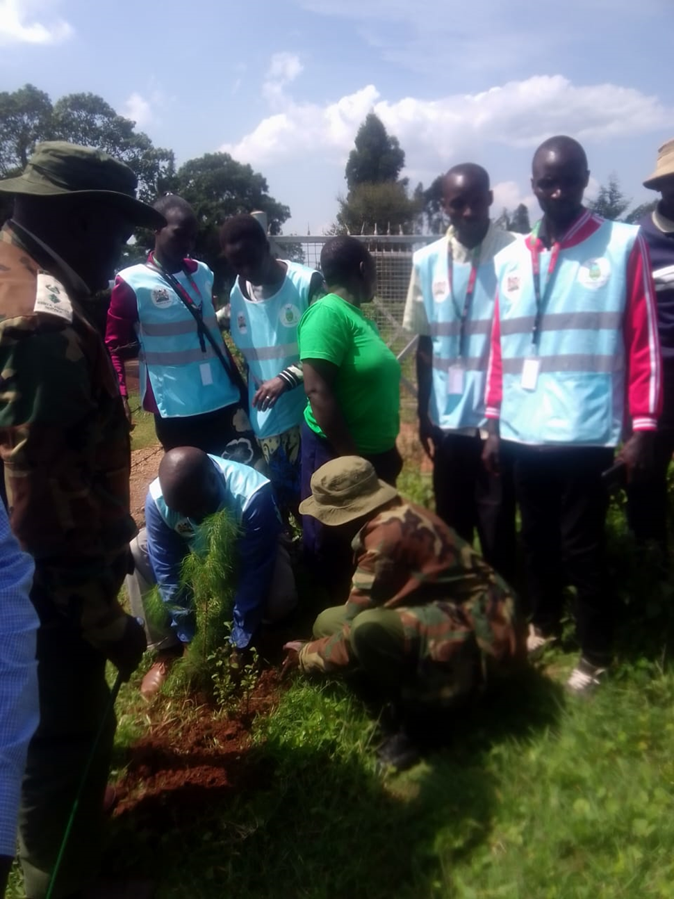 Tree Planting