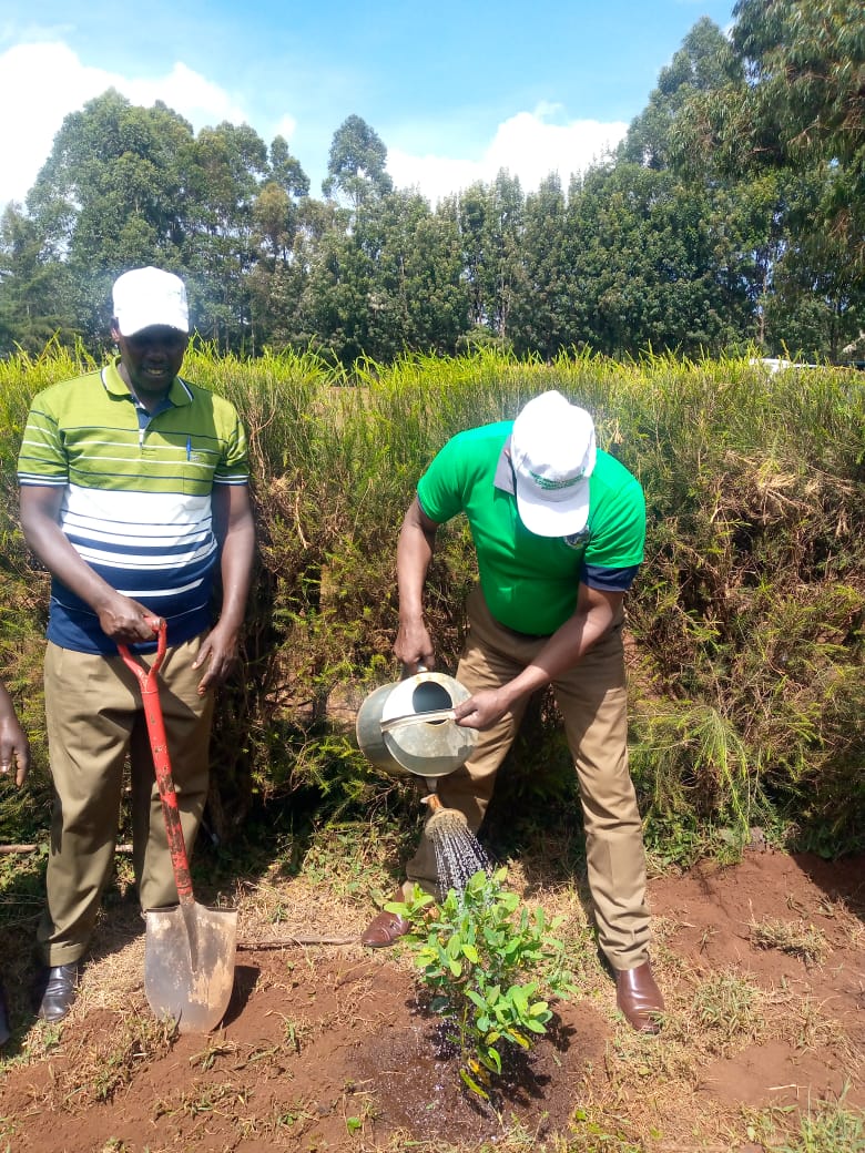 International Forest Tree Planting Day