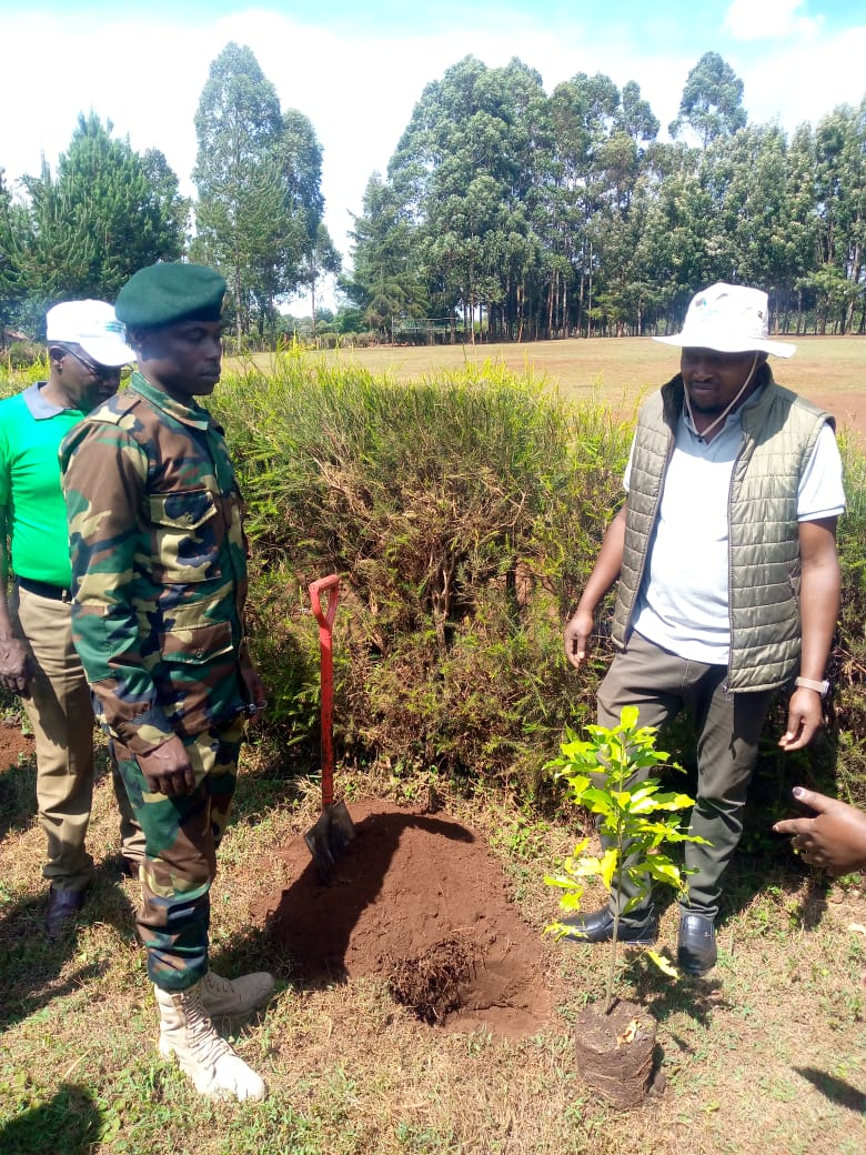 International Forest Tree Planting Day
