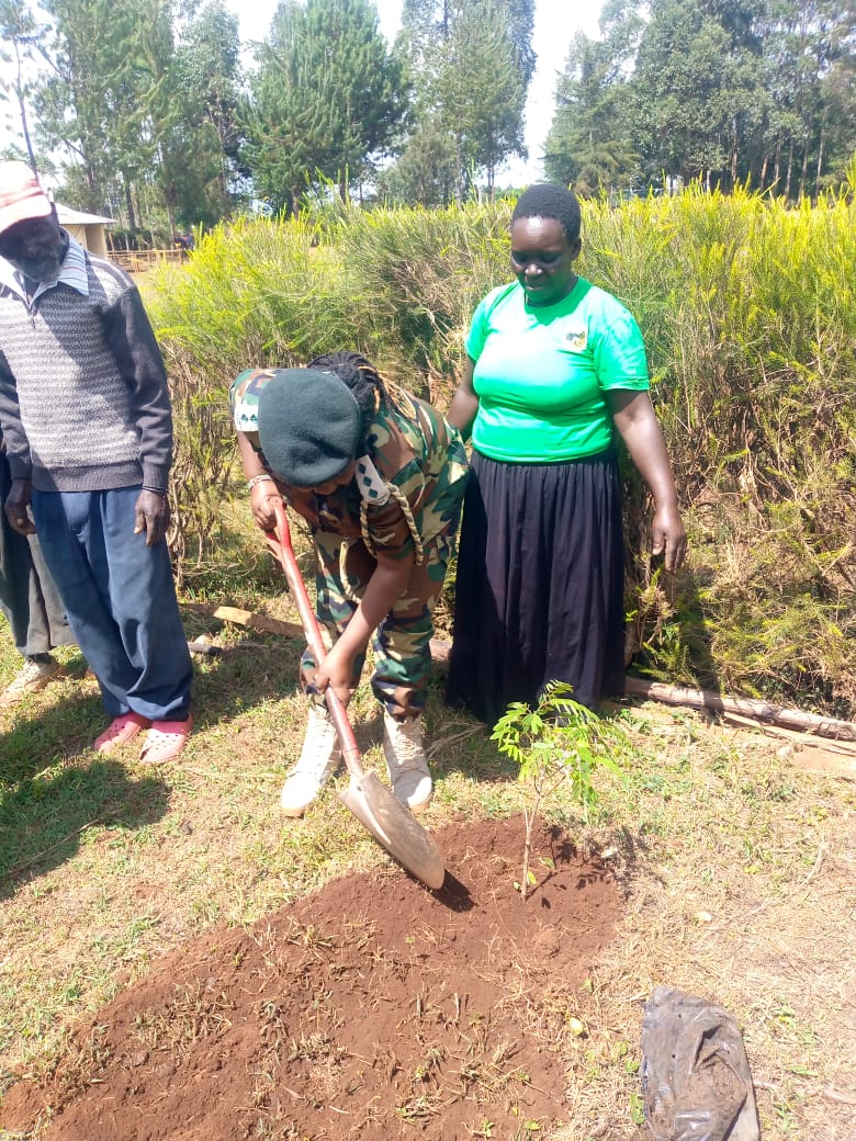 International Forest Tree Planting Day