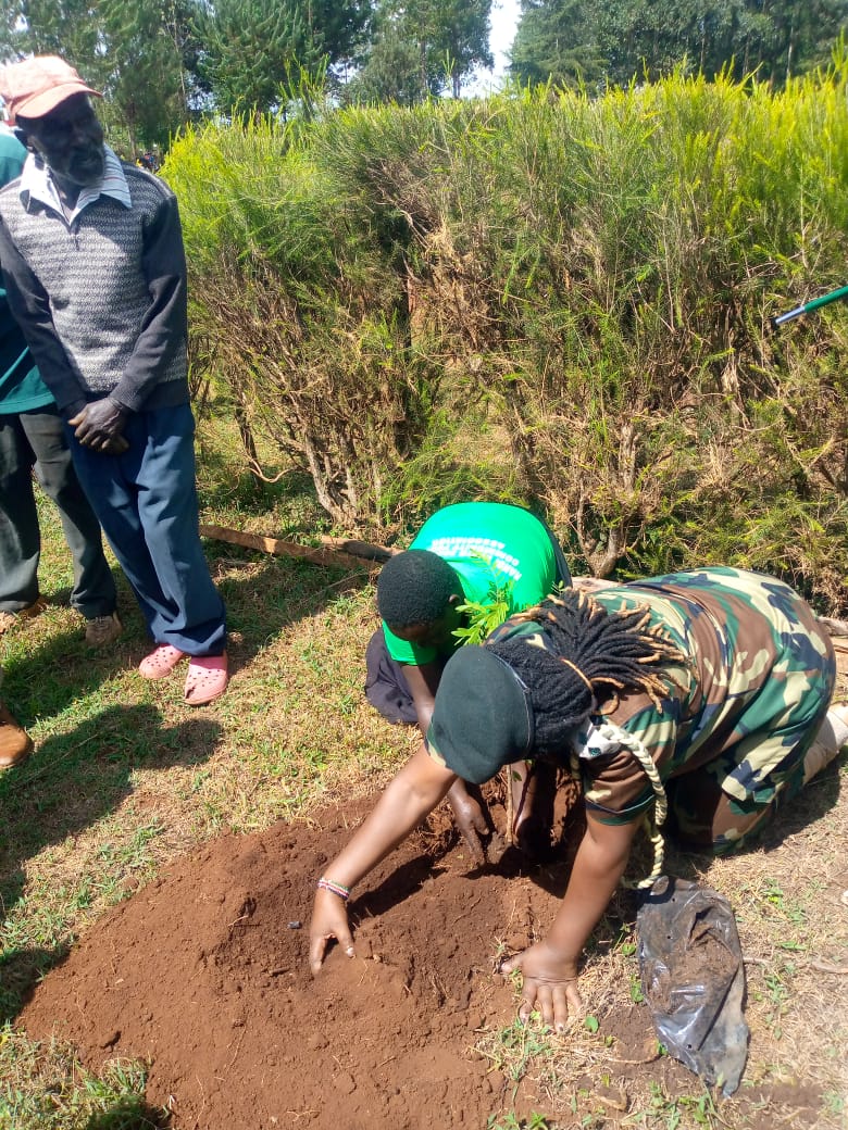 International Forest Tree Planting Day