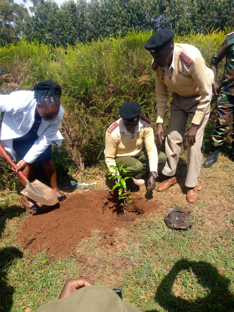 International Forest Tree Planting Day