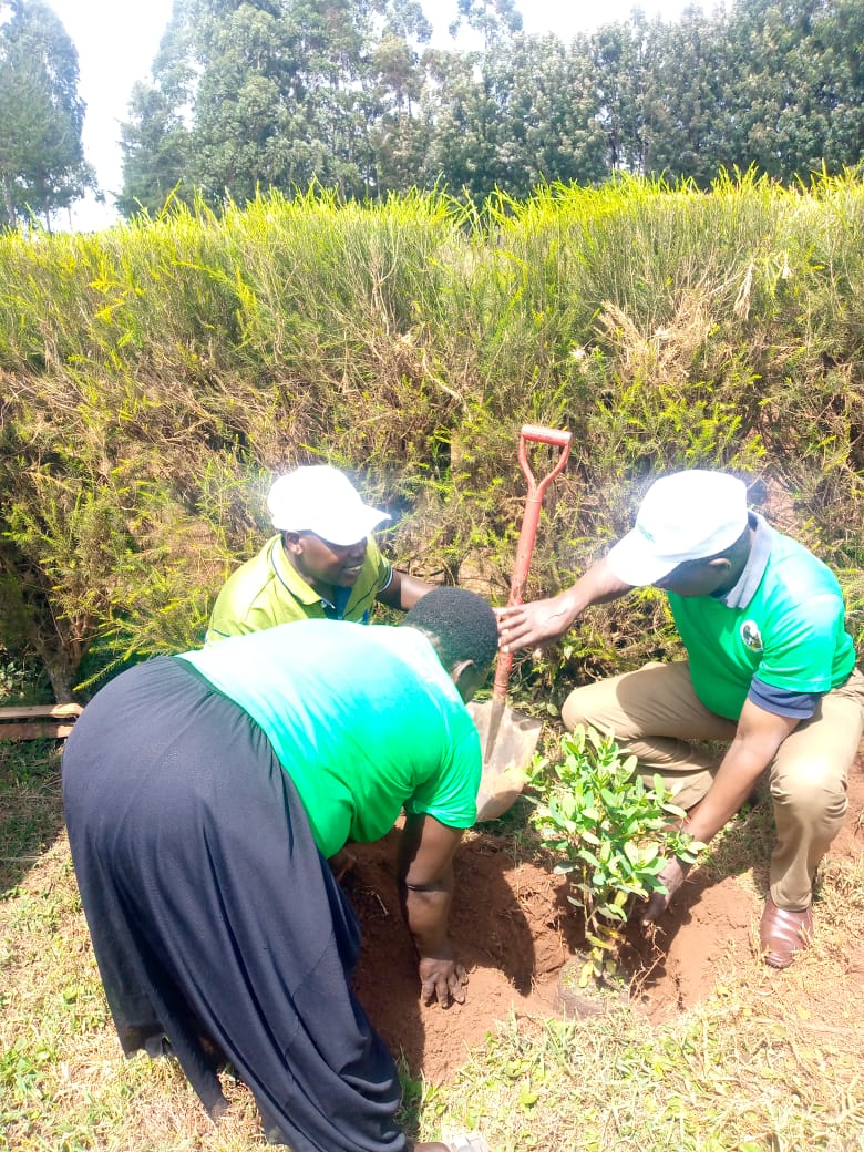 International Forest Tree Planting Day