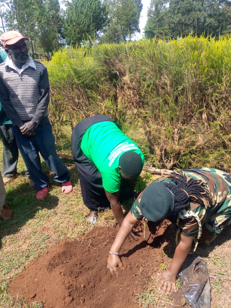 International Forest Tree Planting Day