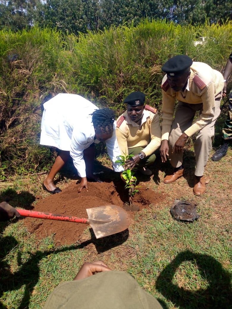 International Forest Tree Planting Day