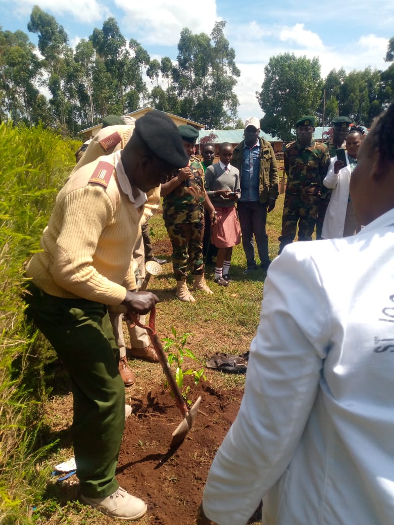 International Forest Tree Planting Day