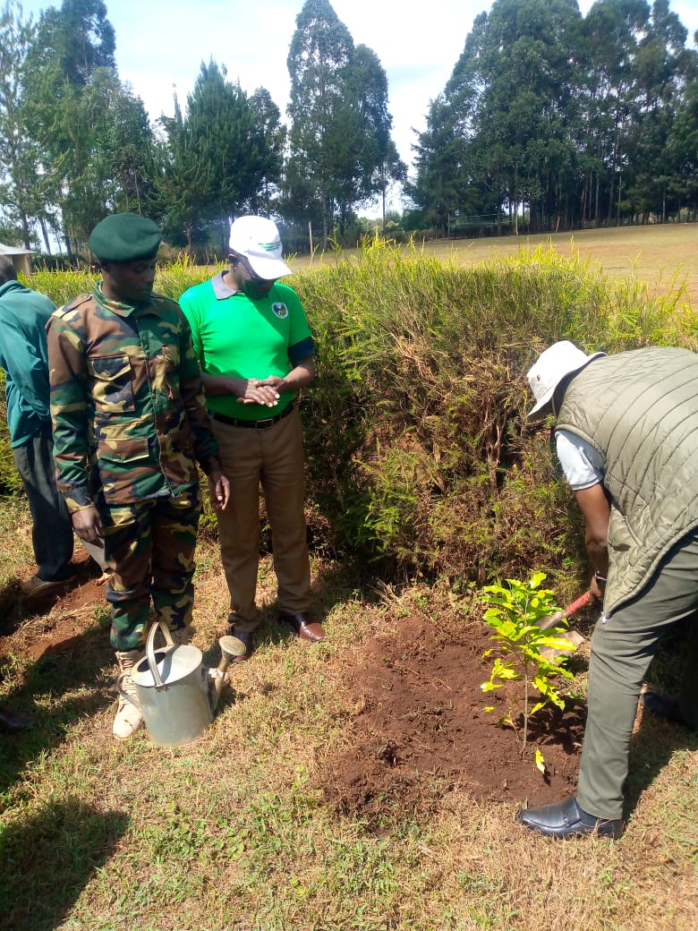 International Forest Tree Planting Day