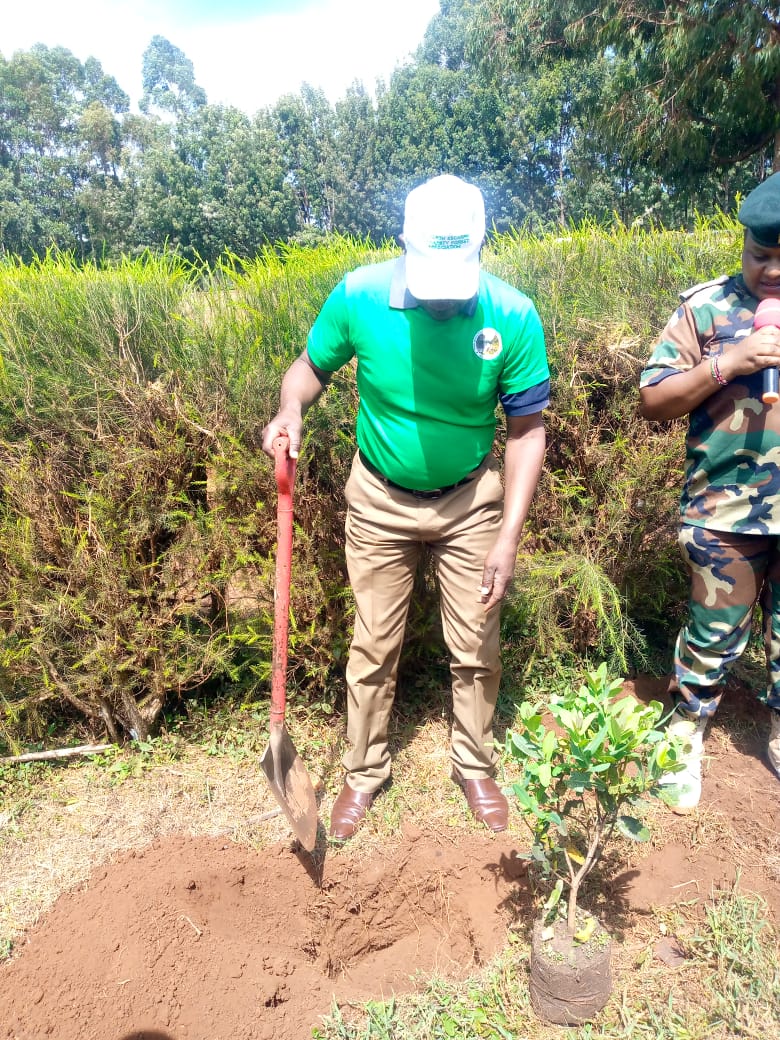 International Forest Tree Planting Day