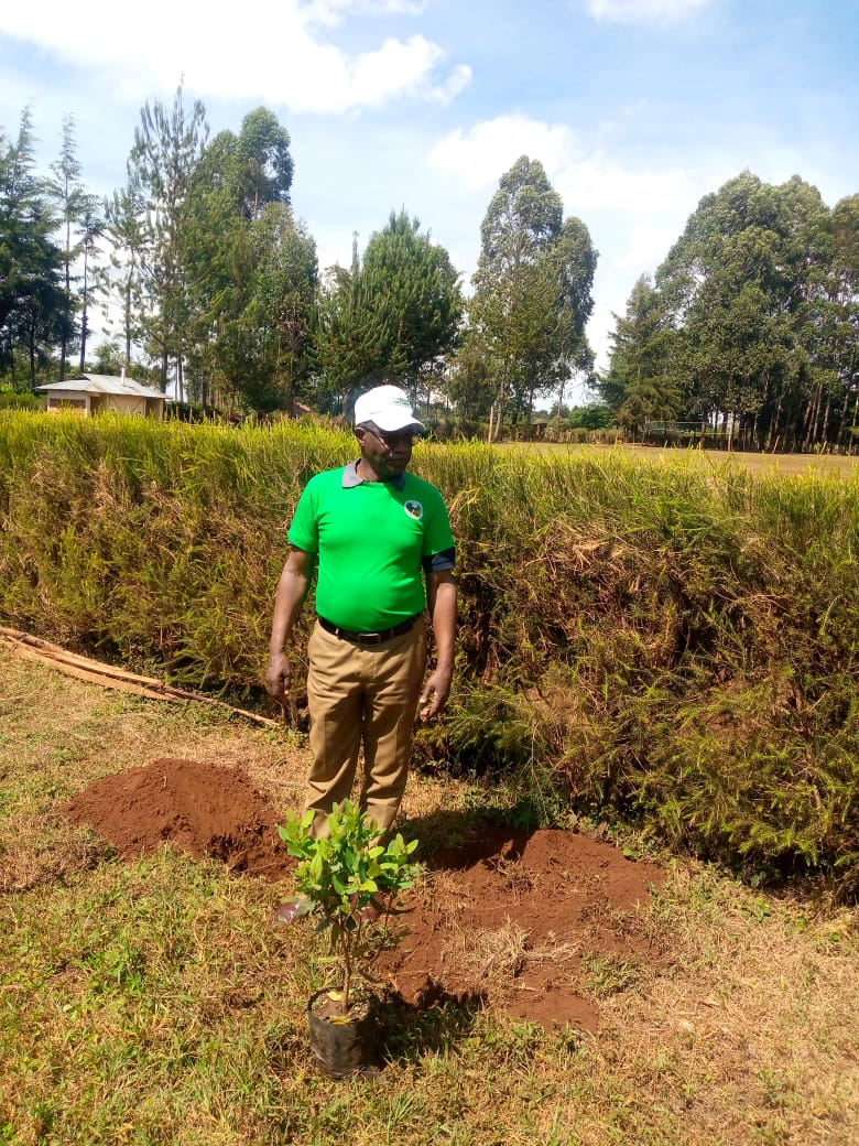 International Forest Tree Planting Day