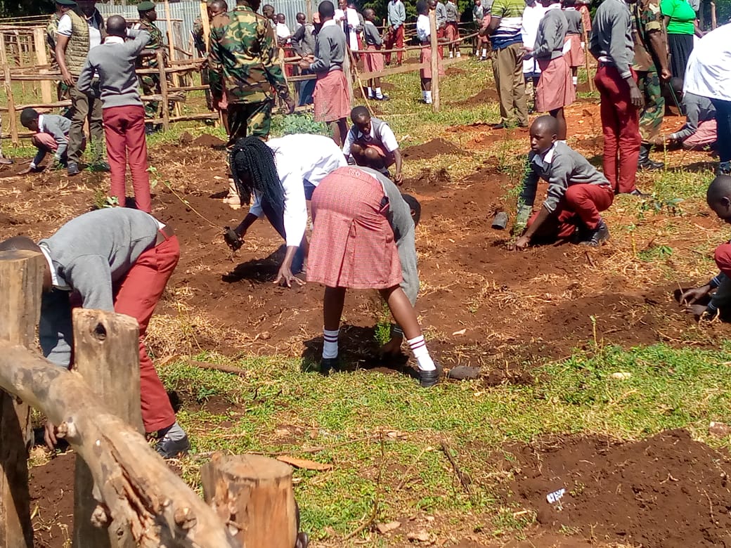 International Forest Tree Planting Day