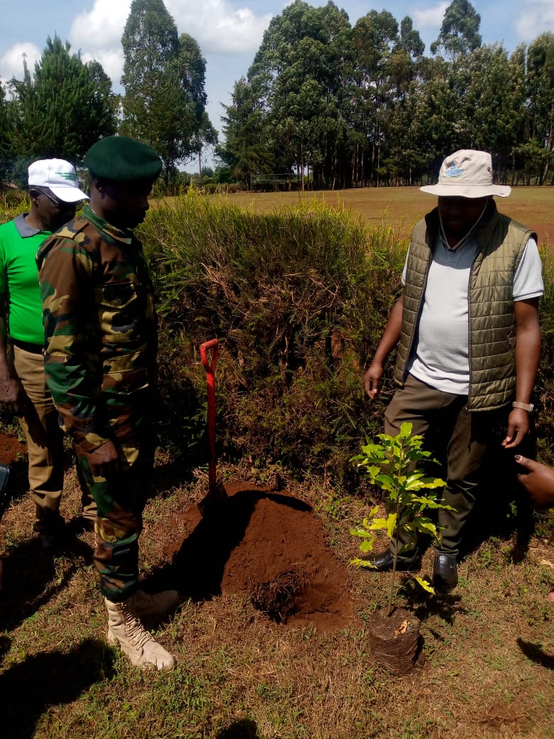 International Forest Tree Planting Day