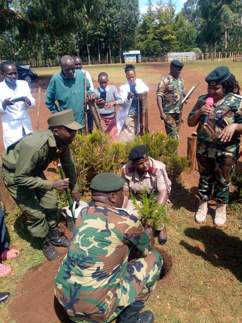 International Forest Tree Planting Day