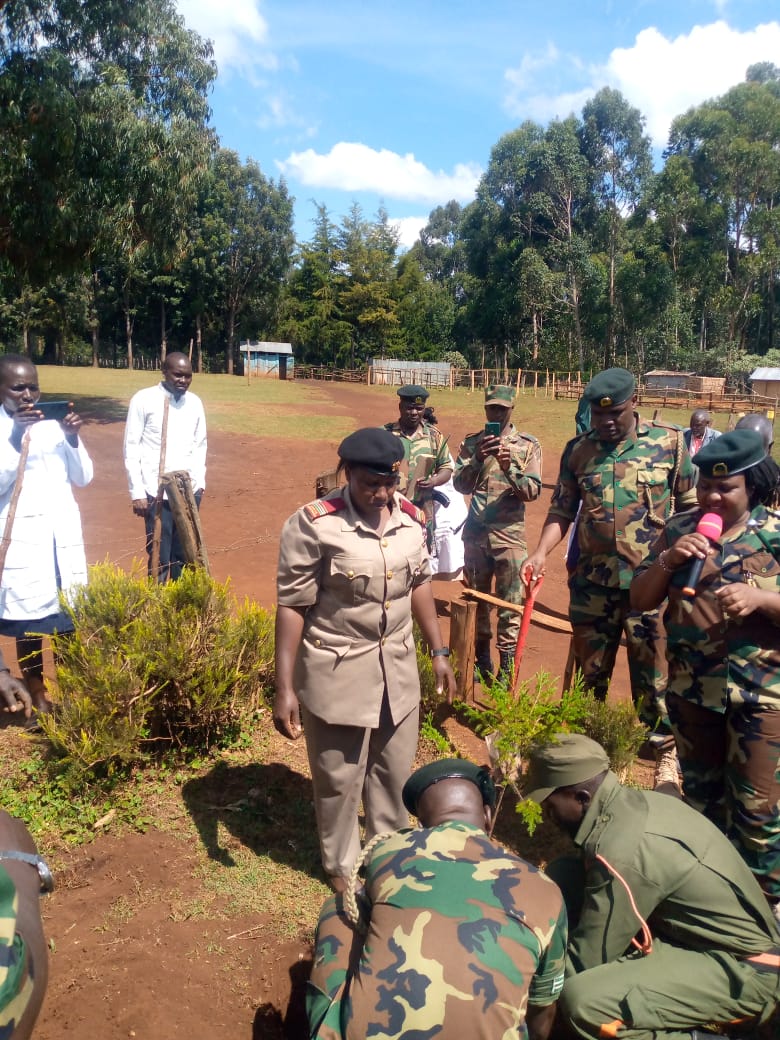 International Forest Tree Planting Day