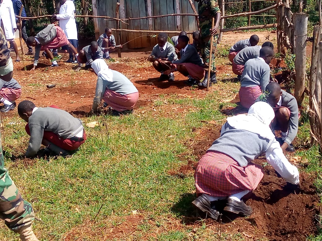 International Forest Tree Planting Day