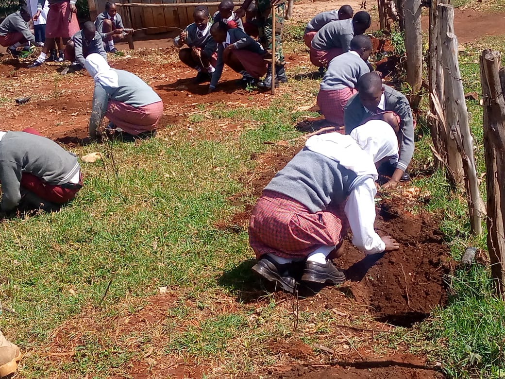 International Forest Tree Planting Day