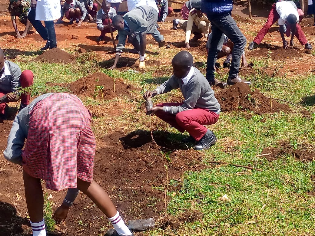 International Forest Tree Planting Day