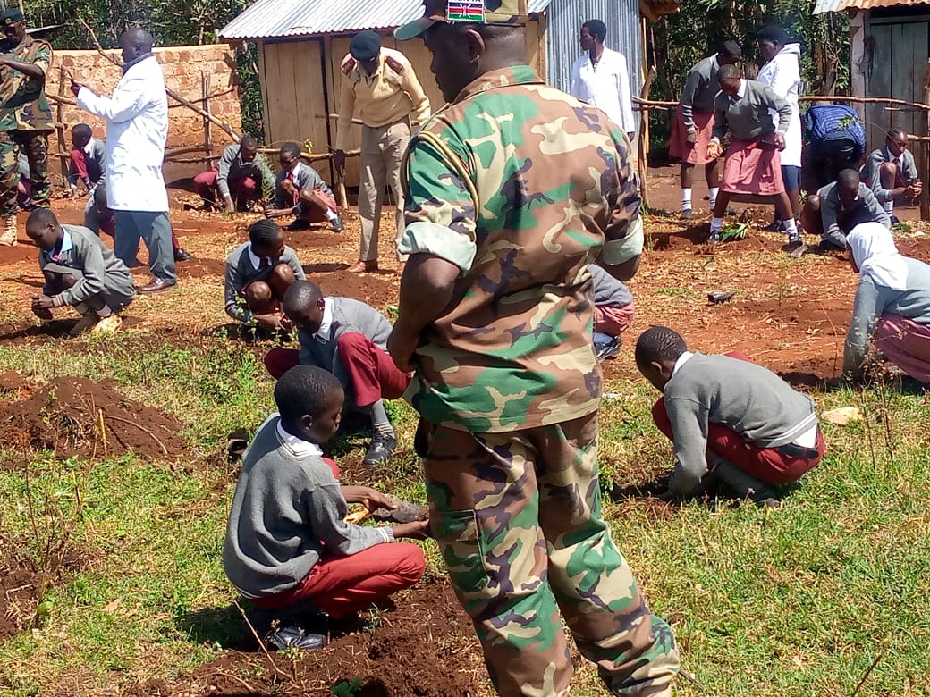 International Forest Tree Planting Day