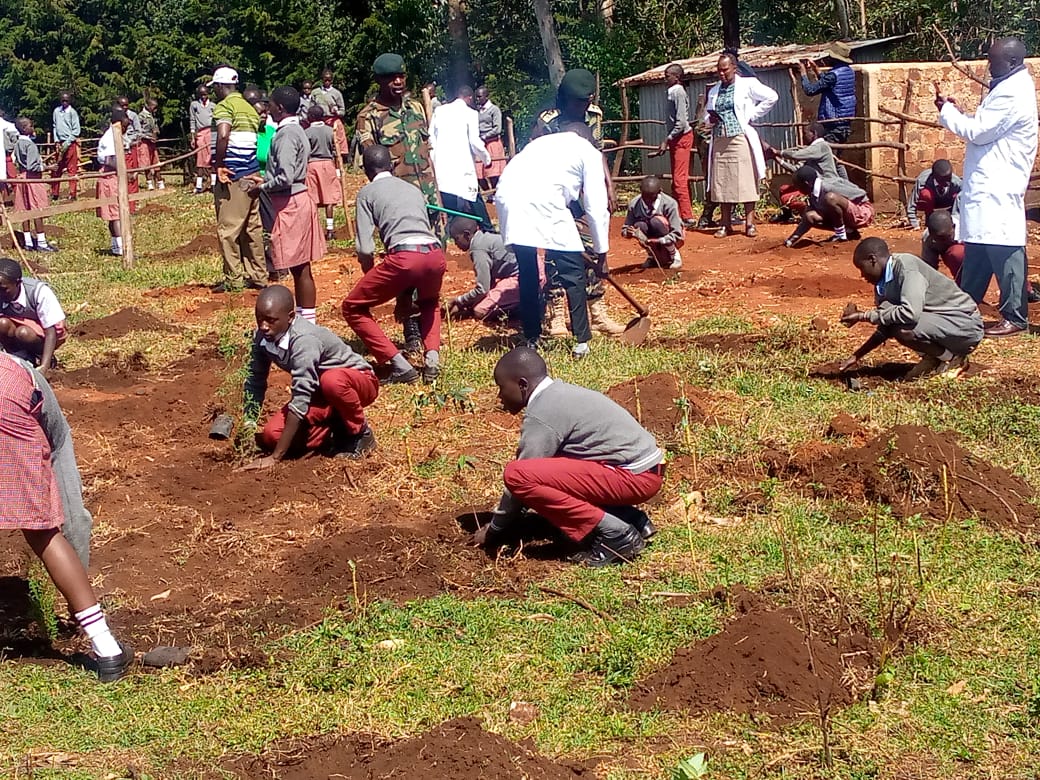 International Forest Tree Planting Day