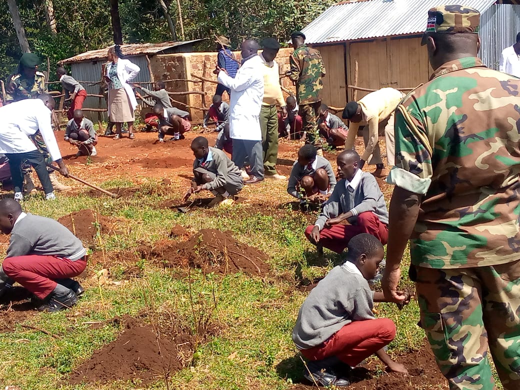 International Forest Tree Planting Day