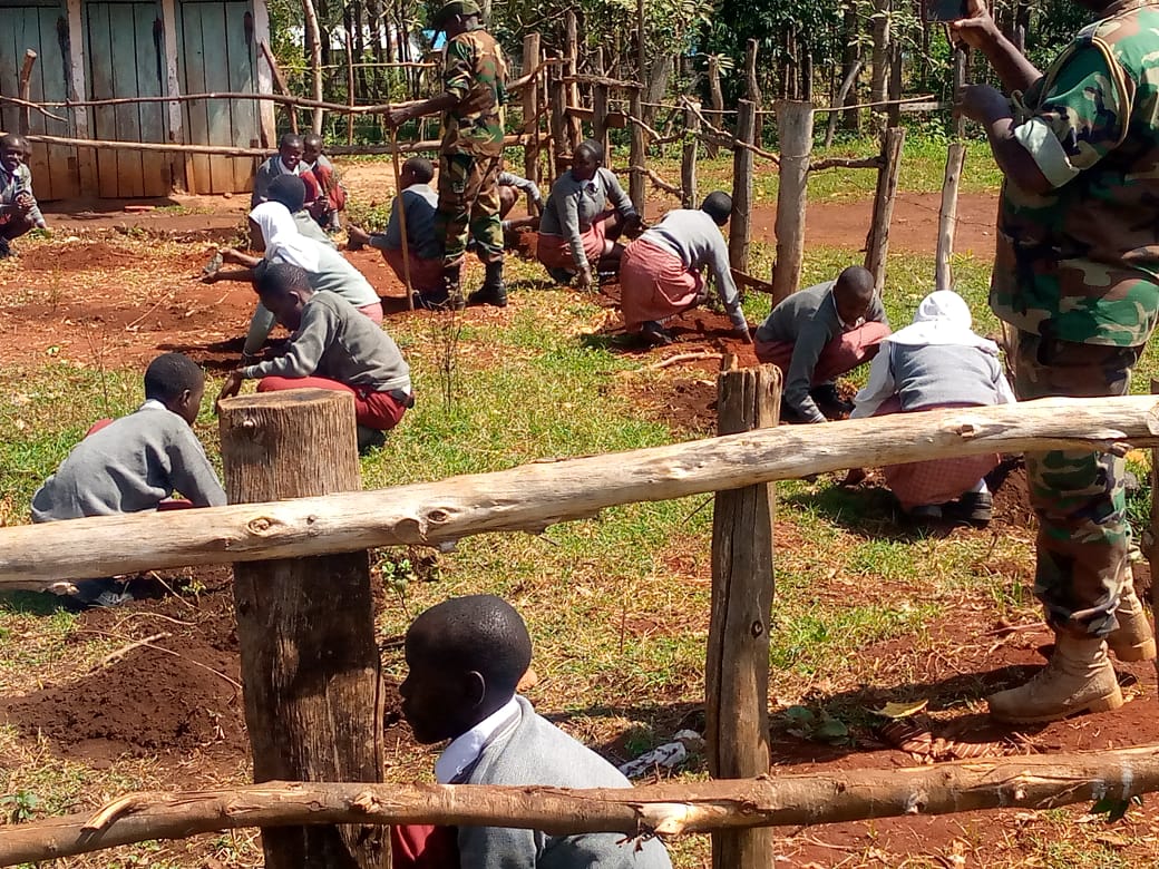 International Forest Tree Planting Day