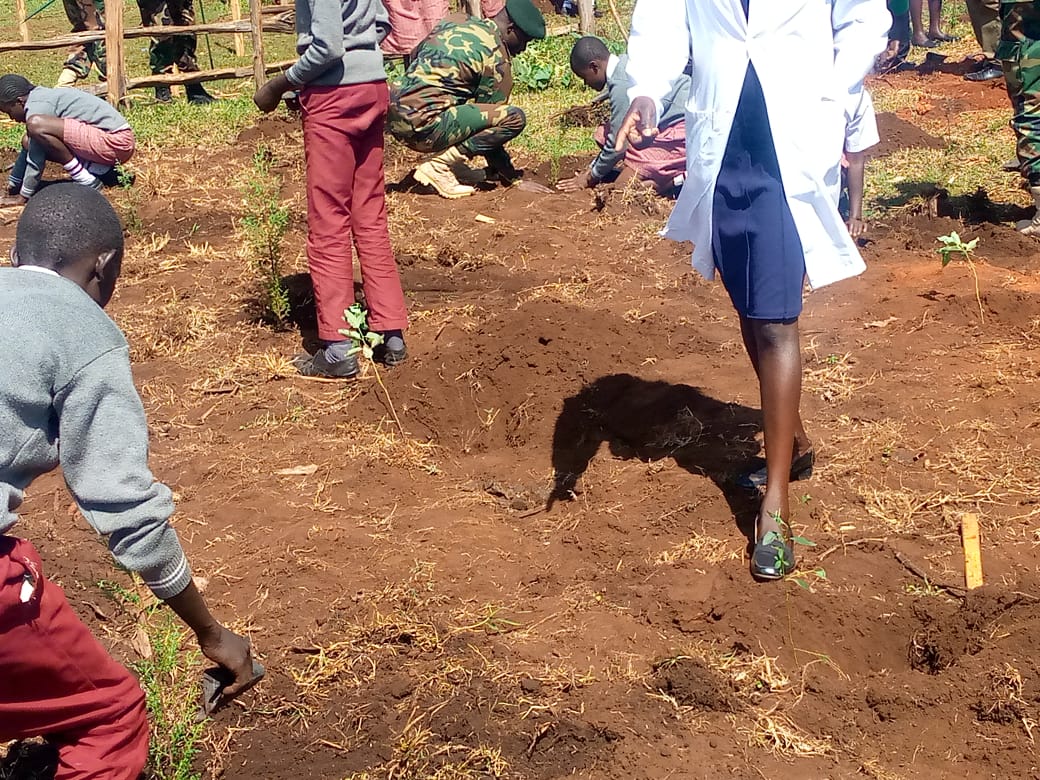 International Forest Tree Planting Day