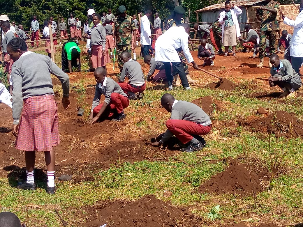 International Forest Tree Planting Day