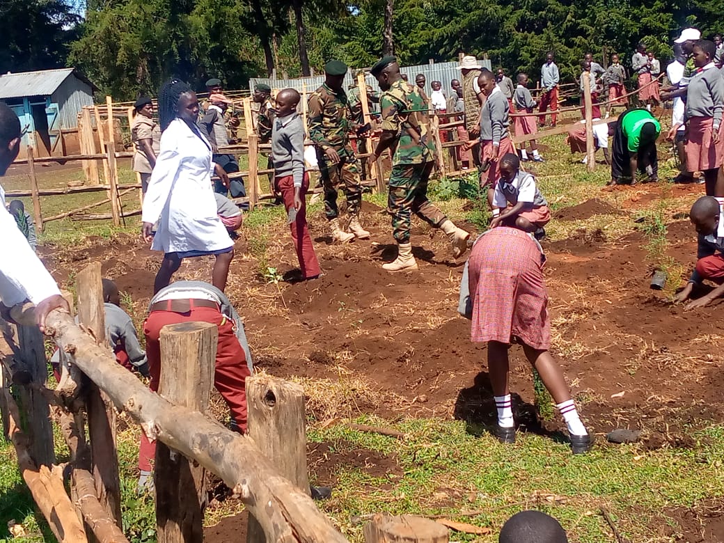 International Forest Tree Planting Day