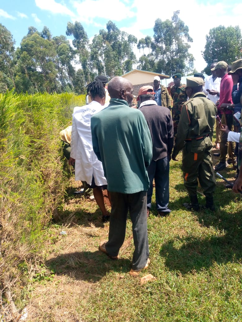 International Forest Tree Planting Day