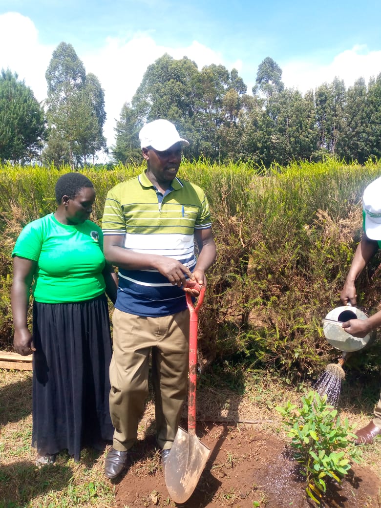 International Forest Tree Planting Day